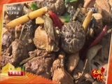 远方的家 《远方的家》 长城内外  第142集 探秘楚长城 寻幽石头村  20160510