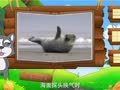 看图识物 海牛 海豹 海狮