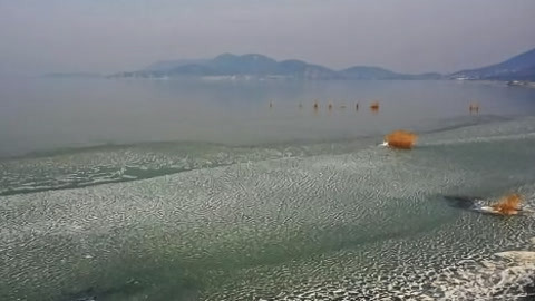 都市晚高峰20210204
