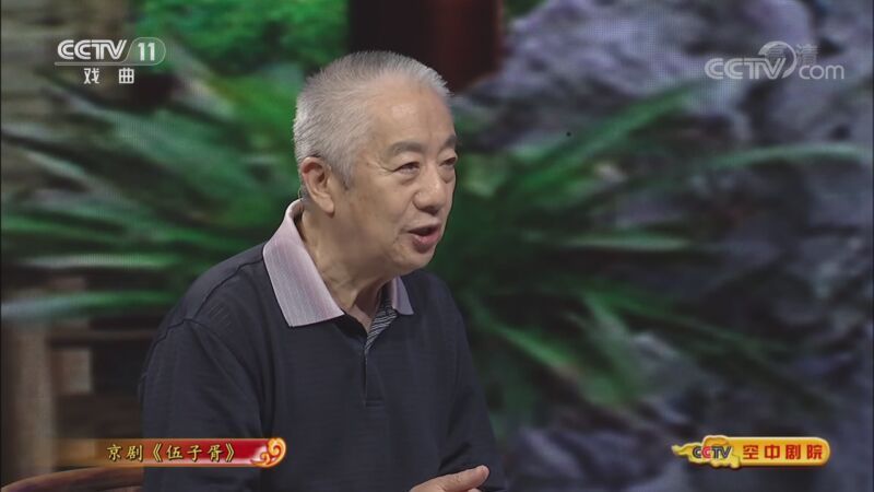 CCTV空中剧院 《CCTV空中剧院》 20200905 京剧《伍子胥》（访谈）