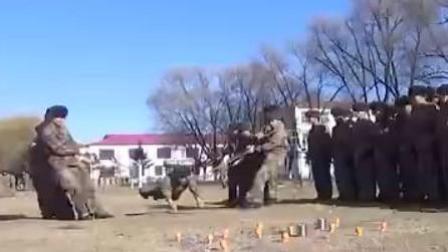 第一军视 第一季 皮！新兵在训练场太皮了！