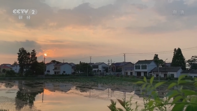 生财有道 《生财有道》 20220607 夏天小龙虾 味道很长沙