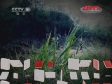 地理中国 《地理中国》 20111213 石龙迷案