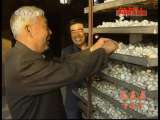 县域经济报道 《县域经济报道》 20111031