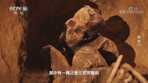 奥秘 《奥秘》 20200803 （11）