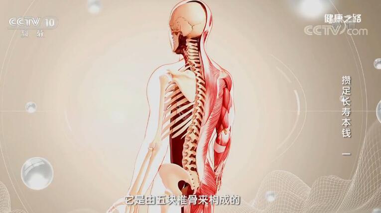 健康之路 《健康之路》 20191014 攒足长寿本钱（一）