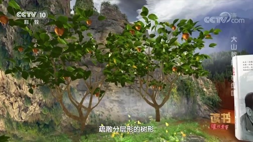 读书 《读书》 20190827 李春雷《大山教授》 大山教授 李保国