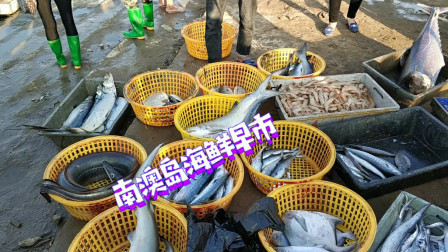 南澳岛赶海日记 潮汕南澳岛海鲜批发市场，刚上岸海鲜都整盘卖，来看看价格怎么样