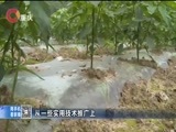 重庆新闻联播 《重庆新闻联播》 20170919