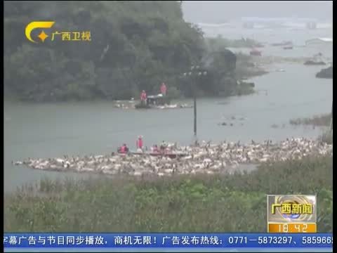 广西新闻 《广西新闻》 20150620