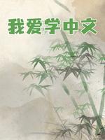 我爱学中文