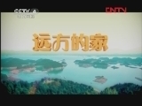 远方的家 《沿海行》 第67集 多彩惠安 白瓷德化《远方的家》 20120307