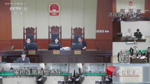 今日说法 《今日说法》 20200724 八个被告