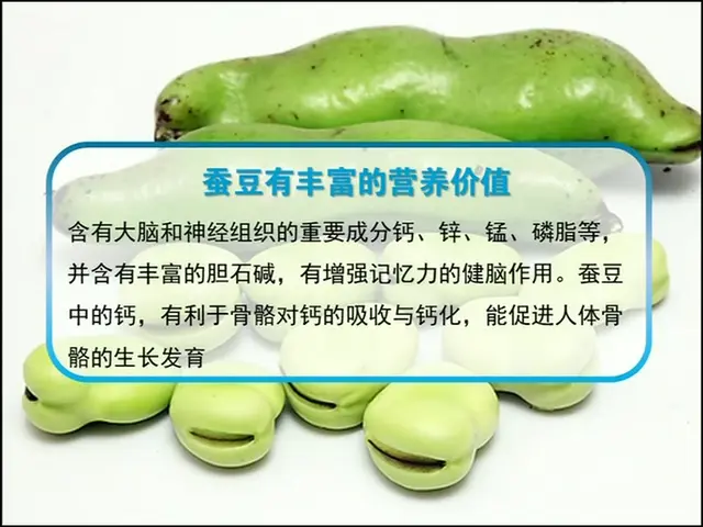 《生活这一刻 2018》第6期