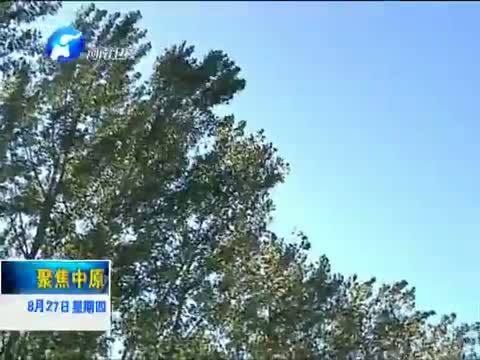 聚焦中原 《聚焦中原》 20150827 抗战故事 抗战老兵张进：炮火中护送日本小孩