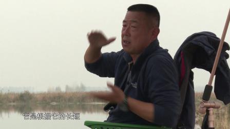 钓鱼人应该养成的一个好习惯 听听大毛老师怎么说