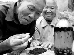 经典传奇 探秘食蚁村