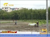 广西新闻 《广西新闻》 20170416
