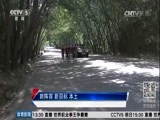 体育新闻 [体育新闻]完整版 20170715