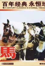 马 海报