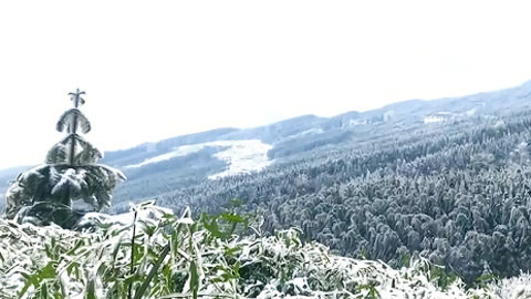 小强热线20210129