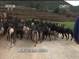 焦点访谈 《焦点访谈》 20170428 李德义脱贫记