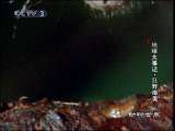动物世界 动物世界 2010年 第139期