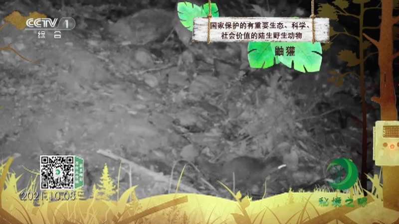 秘境之眼 《秘境之眼》 鼬獾 20230407