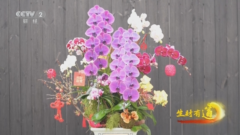 《生财有道》 20260309 幸福飞来“花”样财