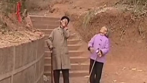 经典传奇 怪树“显灵”之谜
