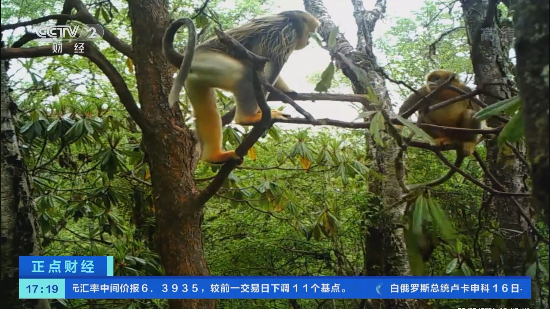 《正点财经》 20211117 17:00
