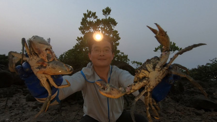 思乡渔夫 凌晨4点去赶海，大螃蟹都是不躲的，抓的…
