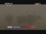 人与自然 《人与自然》 20140512 人物亲历 丛林巡视者