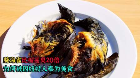 腌海雀比榴莲臭20倍，为何被因纽特人奉为美食，它究竟有多恐怖