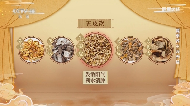 健康之路 《健康之路》 20240621 夏季养生该养啥