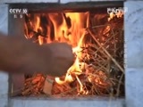 地理中国 《地理中国》 20151121 凝固的风景·千年龙首之谜