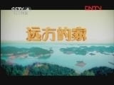 远方的家 《沿海行》第56集 海上雁荡 悦游乐清《远方的家》20120221