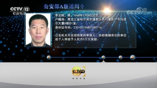 天网 《天网》 20190527 寻找小美