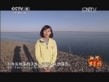 远方的家 江河万里行 第169集 嫩江 嫩江边的达斡尔 20141222《远方的家》