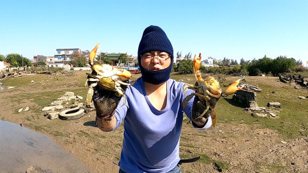 思乡渔夫赶海 住海边就是好，想吃螃蟹赶海随便抓2只，各种海鲜手到擒来
