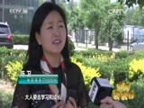 新闻袋袋裤 《新闻袋袋裤》 20160613