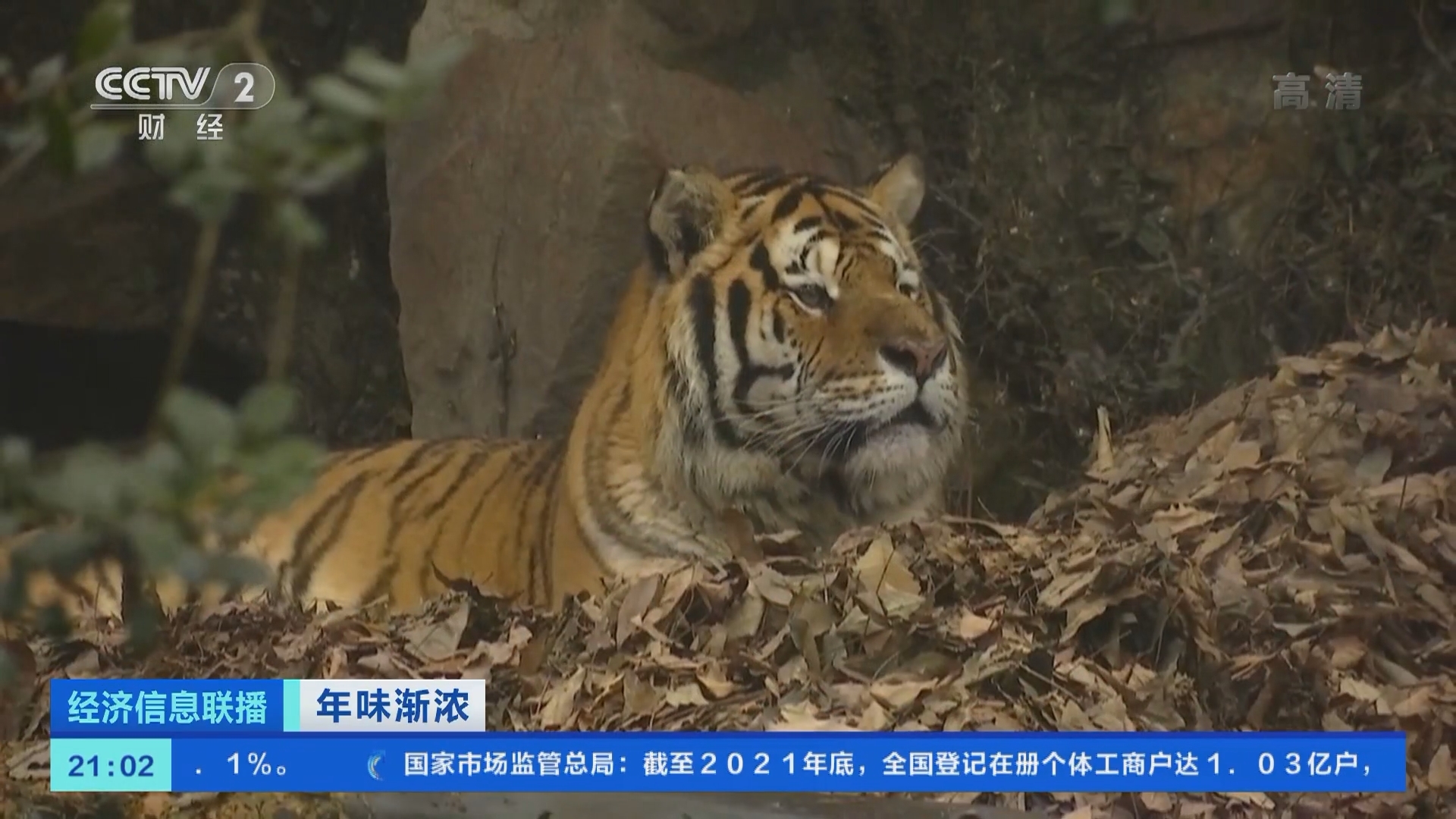 经济信息联播 《经济信息联播》 20220127