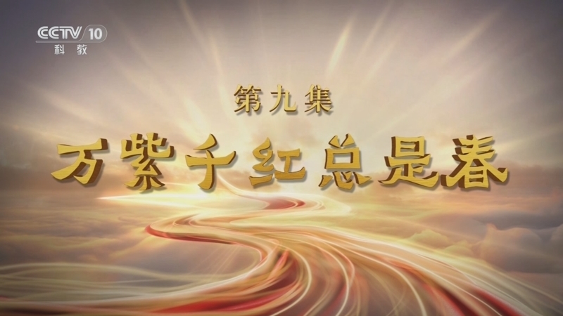 百家讲坛 《百家讲坛·甲辰版》 20240715 特别节目《金融之道》（9） 万紫千红总是春