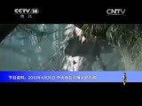 芝麻开门【央视】 《芝麻开门》 20150518 17：15