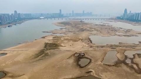 小强热线20210215