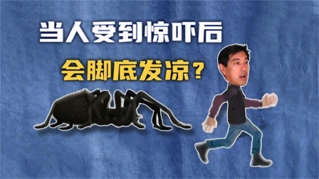 流言终结者：当人在感到恐惧时，会引发手脚发凉吗