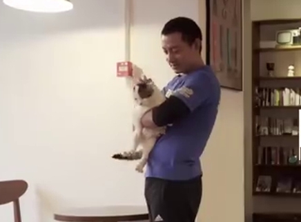 二更视频 愿所有流浪猫狗都被温柔相待