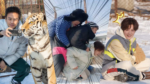 哈哈哈哈哈第3季 五哈和他们的朋友之鹿晗叠罗汉被压地上 邓超和东北虎同笼自拍？