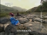 地理中国 《地理中国》 20131006 山水奇观-怪滩之谜