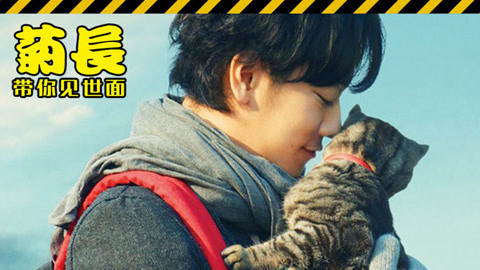 菊长带你见世面 为了猫咪活下去，主人慷慨赴死